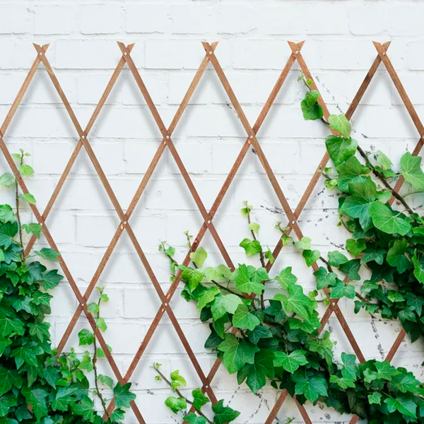 trelica extensivel de madeira decoracao jardim casa 1 8mx0 5m 2