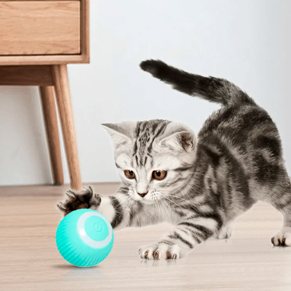 bolinha interativa inteligente para pet 5